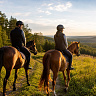 Конная прогулка #в Коломне#. Сервис Ultra Подарки. Купить сертификат на конную прогулку #в Коломне#, подарок на прогулку на лошадях #в Коломне#. Вы сможете попробовать конные прогулки. Сервис UltraPodarki.ru 8 800 505 95 30. Обучение верховой езде, катание на лошадях #в Коломне#, верховая езда #Коломна#, конный спорт, конные прогулки, верховая езда, конная прогулка #в Коломне#, конные прогулки #в Коломне#,конный спорт #в Коломне#, романтическая конная прогулка #в Коломне#, катание на лошадях для двоих #в Коломне#, уроки верховой езды #в Коломне#