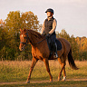 Конная прогулка #в Коломне#. Сервис Ultra Подарки. Купить сертификат на конную прогулку #в Коломне#, подарок на прогулку на лошадях #в Коломне#. Вы сможете попробовать конные прогулки. Сервис UltraPodarki.ru 8 800 505 95 30. Обучение верховой езде, катание на лошадях #в Коломне#, верховая езда #Коломна#, конный спорт, конные прогулки, верховая езда, конная прогулка #в Коломне#, конные прогулки #в Коломне#,конный спорт #в Коломне#, романтическая конная прогулка #в Коломне#, катание на лошадях для двоих #в Коломне#, уроки верховой езды #в Коломне#