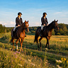Конная прогулка #в Коломне#. Сервис Ultra Подарки. Купить сертификат на конную прогулку #в Коломне#, подарок на прогулку на лошадях #в Коломне#. Вы сможете попробовать конные прогулки. Сервис UltraPodarki.ru 8 800 505 95 30. Обучение верховой езде, катание на лошадях #в Коломне#, верховая езда #Коломна#, конный спорт, конные прогулки, верховая езда, конная прогулка #в Коломне#, конные прогулки #в Коломне#,конный спорт #в Коломне#, романтическая конная прогулка #в Коломне#, катание на лошадях для двоих #в Коломне#, уроки верховой езды #в Коломне#