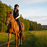 Конная прогулка #в Коломне#. Сервис Ultra Подарки. Купить сертификат на конную прогулку #в Коломне#, подарок на прогулку на лошадях #в Коломне#. Вы сможете попробовать конные прогулки. Сервис UltraPodarki.ru 8 800 505 95 30. Обучение верховой езде, катание на лошадях #в Коломне#, верховая езда #Коломна#, конный спорт, конные прогулки, верховая езда, конная прогулка #в Коломне#, конные прогулки #в Коломне#,конный спорт #в Коломне#, романтическая конная прогулка #в Коломне#, катание на лошадях для двоих #в Коломне#, уроки верховой езды #в Коломне#