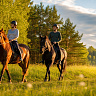 Конная прогулка #в Коломне#. Сервис Ultra Подарки. Купить сертификат на конную прогулку #в Коломне#, подарок на прогулку на лошадях #в Коломне#. Вы сможете попробовать конные прогулки. Сервис UltraPodarki.ru 8 800 505 95 30. Обучение верховой езде, катание на лошадях #в Коломне#, верховая езда #Коломна#, конный спорт, конные прогулки, верховая езда, конная прогулка #в Коломне#, конные прогулки #в Коломне#,конный спорт #в Коломне#, романтическая конная прогулка #в Коломне#, катание на лошадях для двоих #в Коломне#, уроки верховой езды #в Коломне#