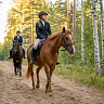 Конная прогулка #в Коломне#. Сервис Ultra Подарки. Купить сертификат на конную прогулку #в Коломне#, подарок на прогулку на лошадях #в Коломне#. Вы сможете попробовать конные прогулки. Сервис UltraPodarki.ru 8 800 505 95 30. Обучение верховой езде, катание на лошадях #в Коломне#, верховая езда #Коломна#, конный спорт, конные прогулки, верховая езда, конная прогулка #в Коломне#, конные прогулки #в Коломне#,конный спорт #в Коломне#, романтическая конная прогулка #в Коломне#, катание на лошадях для двоих #в Коломне#, уроки верховой езды #в Коломне#