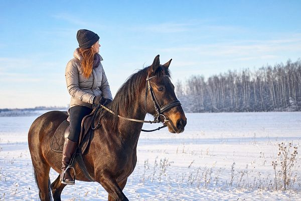 Конная прогулка #в Коломне#. Сервис Ultra Подарки. Купить сертификат на конную прогулку #в Коломне#, подарок на прогулку на лошадях #в Коломне#. Вы сможете попробовать конные прогулки. Сервис UltraPodarki.ru 8 800 505 95 30. Обучение верховой езде, катание на лошадях #в Коломне#, верховая езда #Коломна#, конный спорт, конные прогулки, верховая езда, конная прогулка #в Коломне#, конные прогулки #в Коломне#,конный спорт #в Коломне#, романтическая конная прогулка #в Коломне#, катание на лошадях для двоих #в Коломне#, уроки верховой езды #в Коломне#
