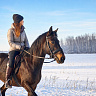 Конная прогулка #в Коломне#. Сервис Ultra Подарки. Купить сертификат на конную прогулку #в Коломне#, подарок на прогулку на лошадях #в Коломне#. Вы сможете попробовать конные прогулки. Сервис UltraPodarki.ru 8 800 505 95 30. Обучение верховой езде, катание на лошадях #в Коломне#, верховая езда #Коломна#, конный спорт, конные прогулки, верховая езда, конная прогулка #в Коломне#, конные прогулки #в Коломне#,конный спорт #в Коломне#, романтическая конная прогулка #в Коломне#, катание на лошадях для двоих #в Коломне#, уроки верховой езды #в Коломне#